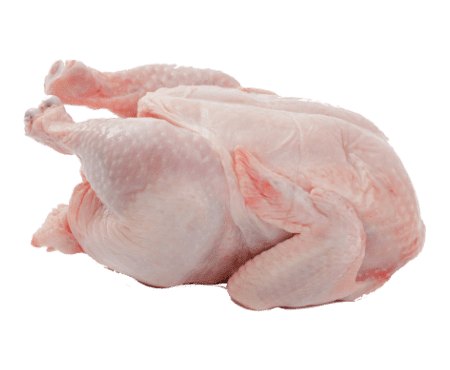 Chicken Meat