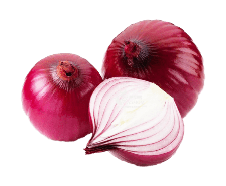 Onion