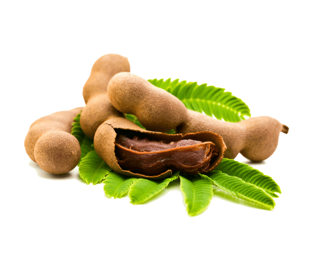 Tamarind